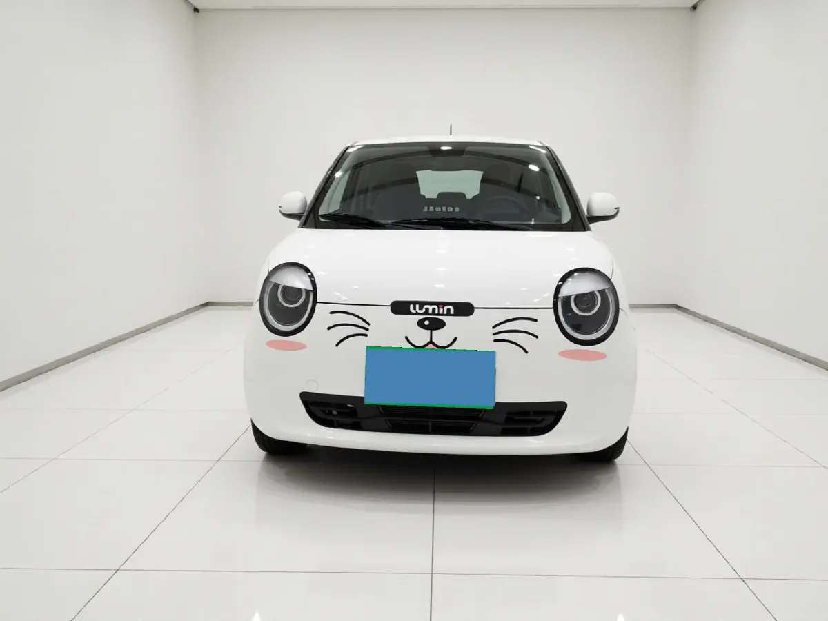 2025 ChangAn QiYuan Lumin BEV,autocango,china used car exporter,china ev exporter,chinese used car exporter,chinese used ev exporter