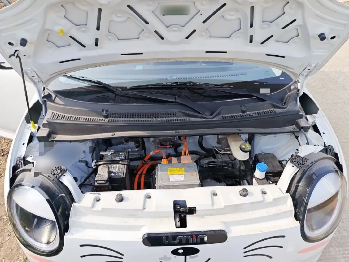 2025 ChangAn QiYuan Lumin BEV,autocango,china used car exporter,china ev exporter,chinese used car exporter,chinese used ev exporter