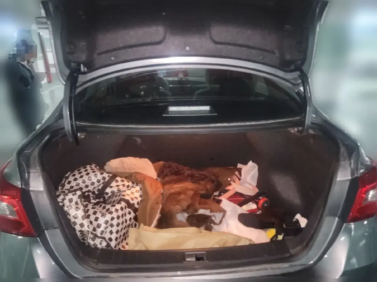 2024 Nissan Sylphy 1.6L 122HP L4 CVT,autocango,china used car exporter,china ev exporter,chinese used car exporter,chinese used ev exporter