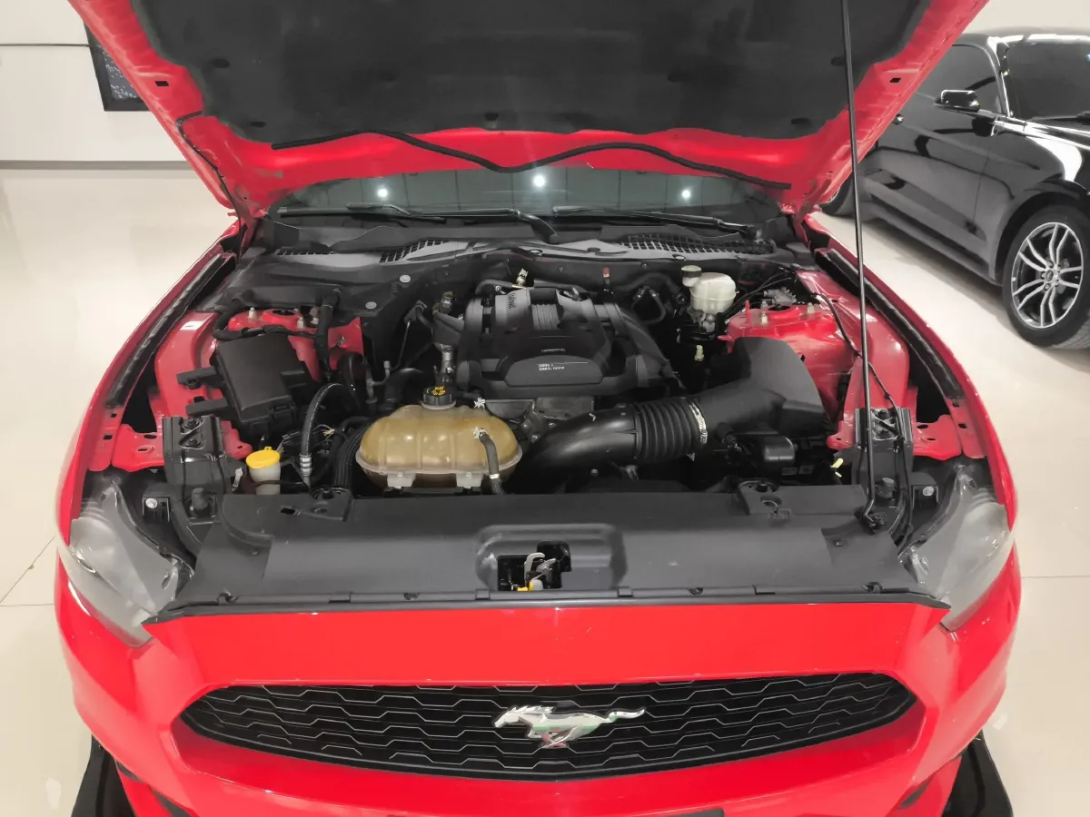 2020 Ford Mustang 2.3T 299HP L4 10AT,autocango,china used car exporter,china ev exporter,chinese used car exporter,chinese used ev exporter