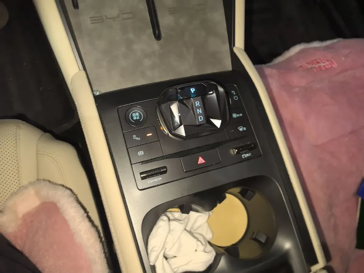 2024 BYD QinL 1.5L 101HP L4 E-CVT PHEV 15.87KWH,autocango,china used car exporter,china ev exporter,chinese used car exporter,chinese used ev exporter