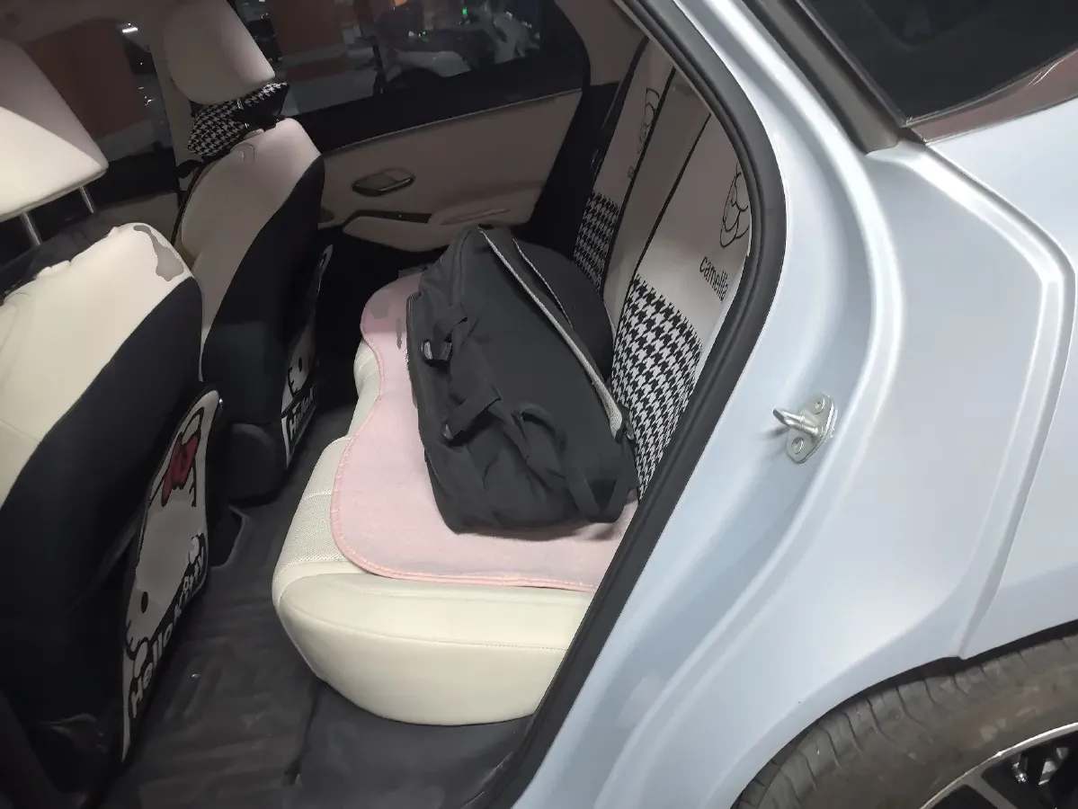 2024 BYD QinL 1.5L 101HP L4 E-CVT PHEV 15.87KWH,autocango,china used car exporter,china ev exporter,chinese used car exporter,chinese used ev exporter