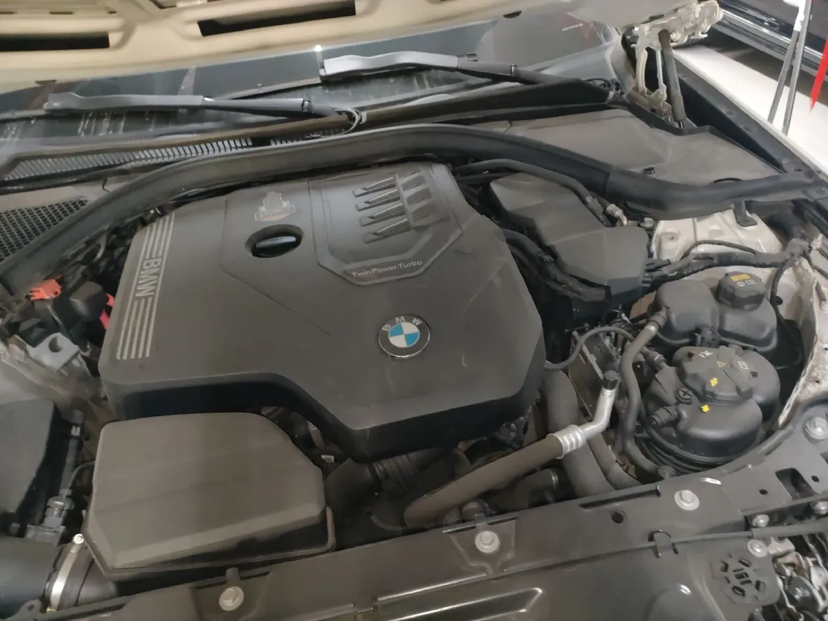 2020 BMW 3 Series 2.0T 156HP L4 8AT,autocango,china used car exporter,china ev exporter,chinese used car exporter,chinese used ev exporter