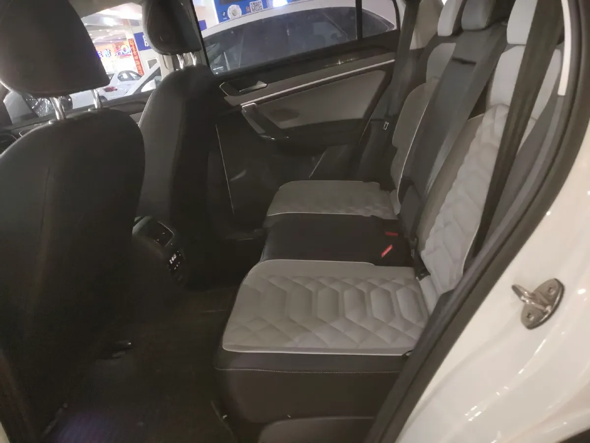 2023 Tank 300 2.0T 227HP L4 8AT,autocango,china used car exporter,china ev exporter,chinese used car exporter,chinese used ev exporter