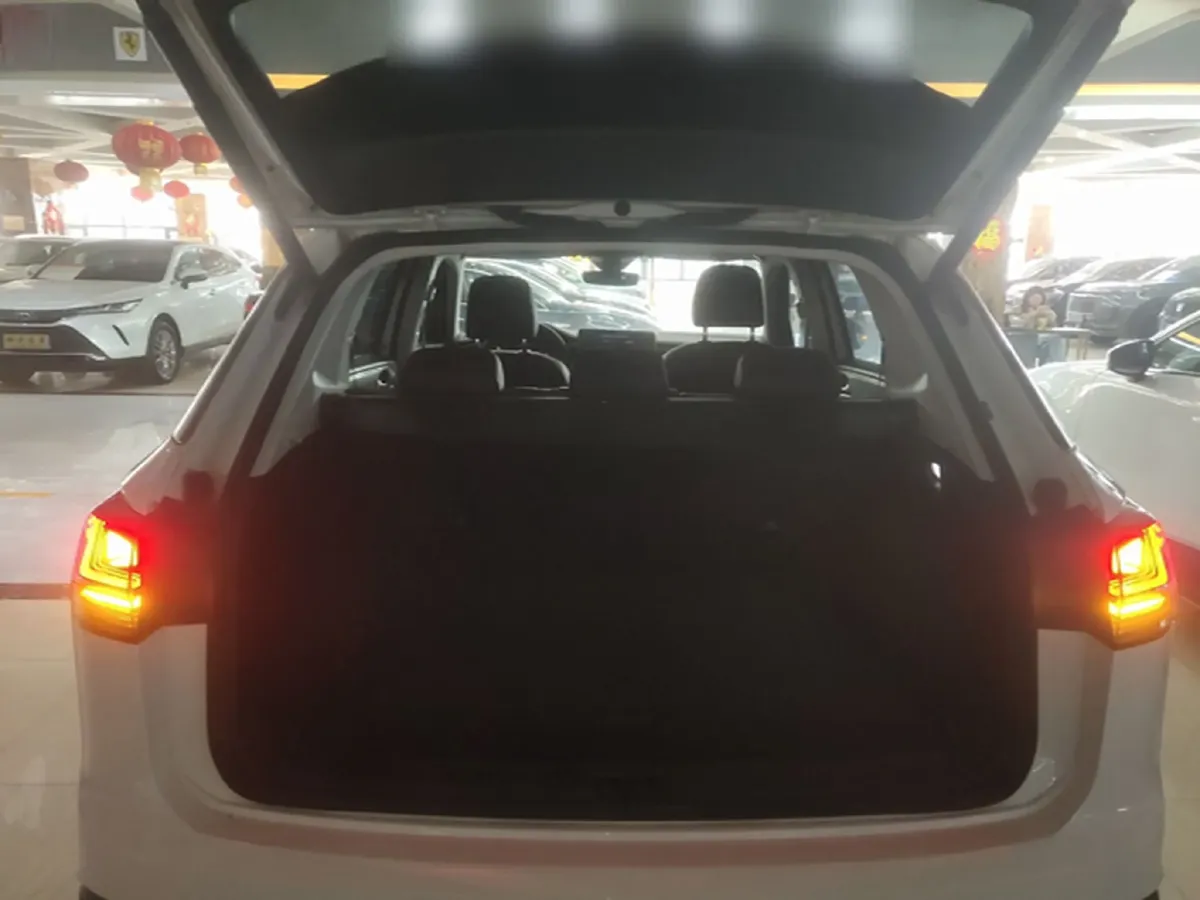 2023 Tank 300 2.0T 227HP L4 8AT,autocango,china used car exporter,china ev exporter,chinese used car exporter,chinese used ev exporter