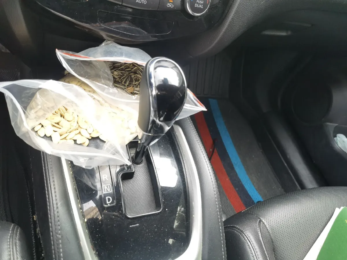 2019 Nissan X-Trail 2.0L 154HP L4 CVT,autocango,china used car exporter,china ev exporter,chinese used car exporter,chinese used ev exporter