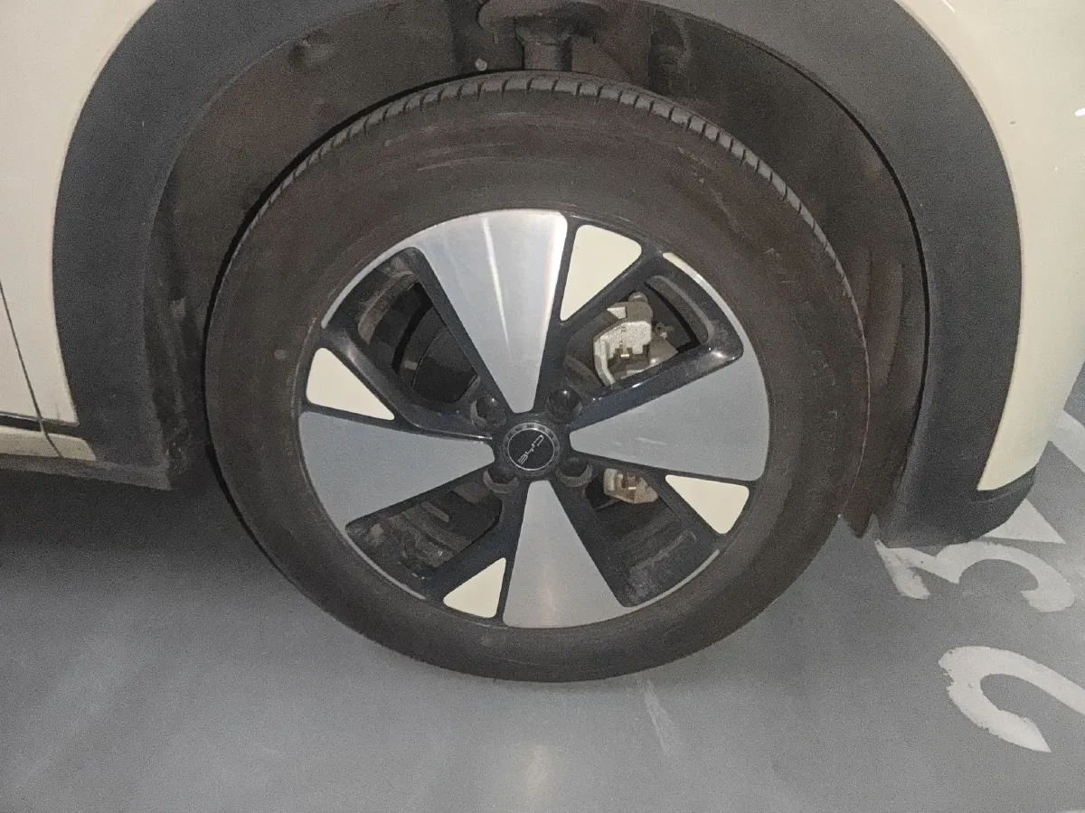 2023 BYD Dolphin BEV 44.928KWH,autocango,china used car exporter,china ev exporter,chinese used car exporter,chinese used ev exporter