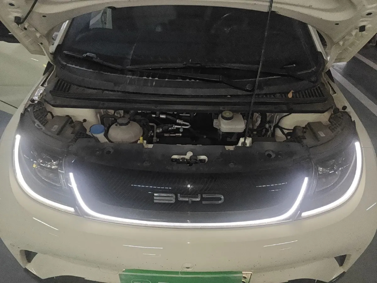 2023 BYD Dolphin BEV 44.928KWH,autocango,china used car exporter,china ev exporter,chinese used car exporter,chinese used ev exporter