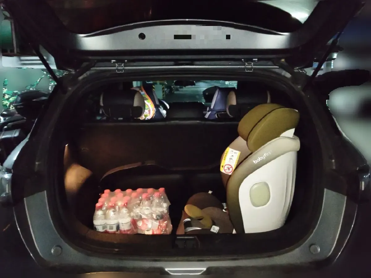 2023 BYD Dolphin BEV 44.928KWH,autocango,china used car exporter,china ev exporter,chinese used car exporter,chinese used ev exporter