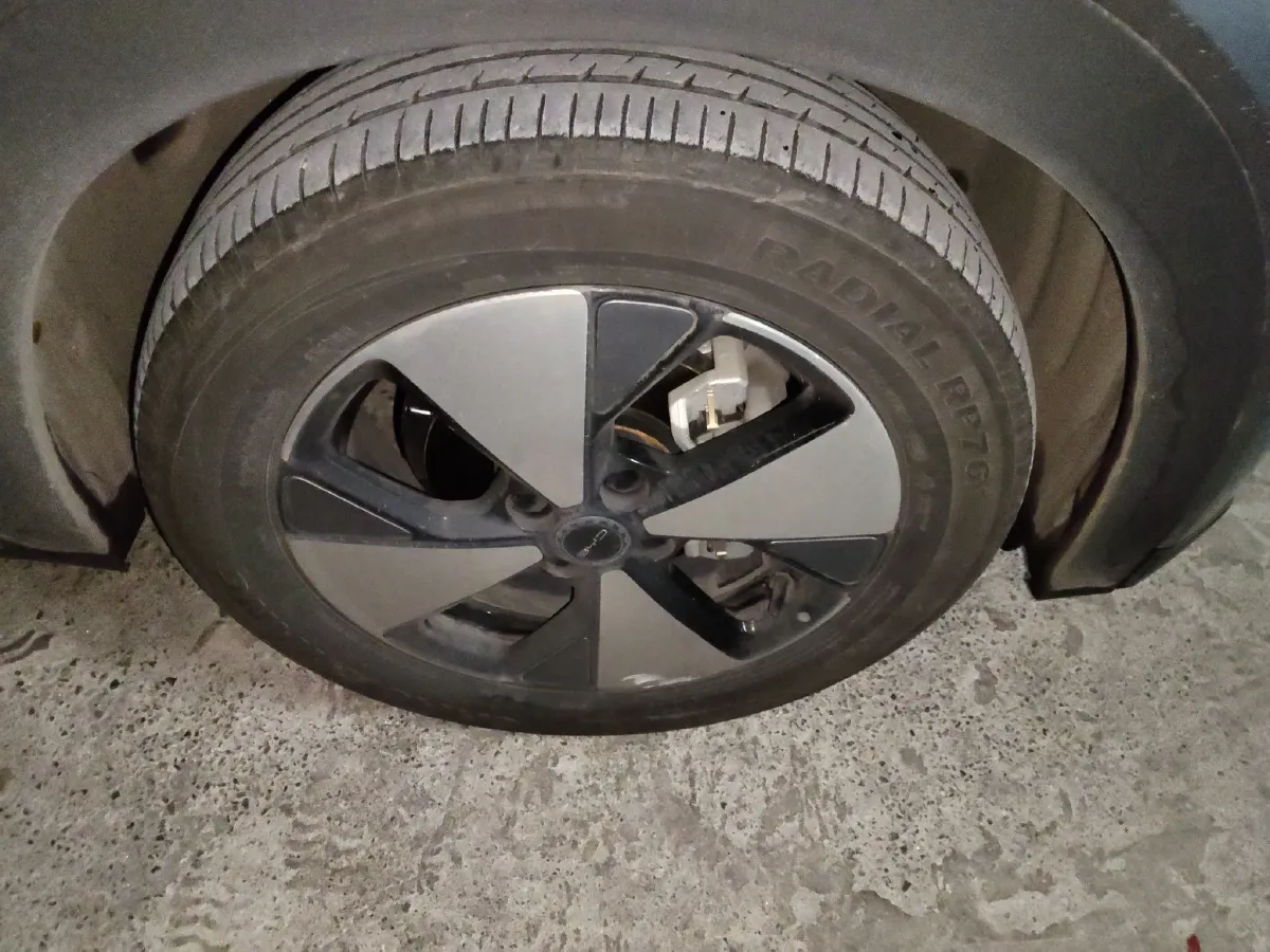 2023 BYD Dolphin BEV 44.928KWH,autocango,china used car exporter,china ev exporter,chinese used car exporter,chinese used ev exporter