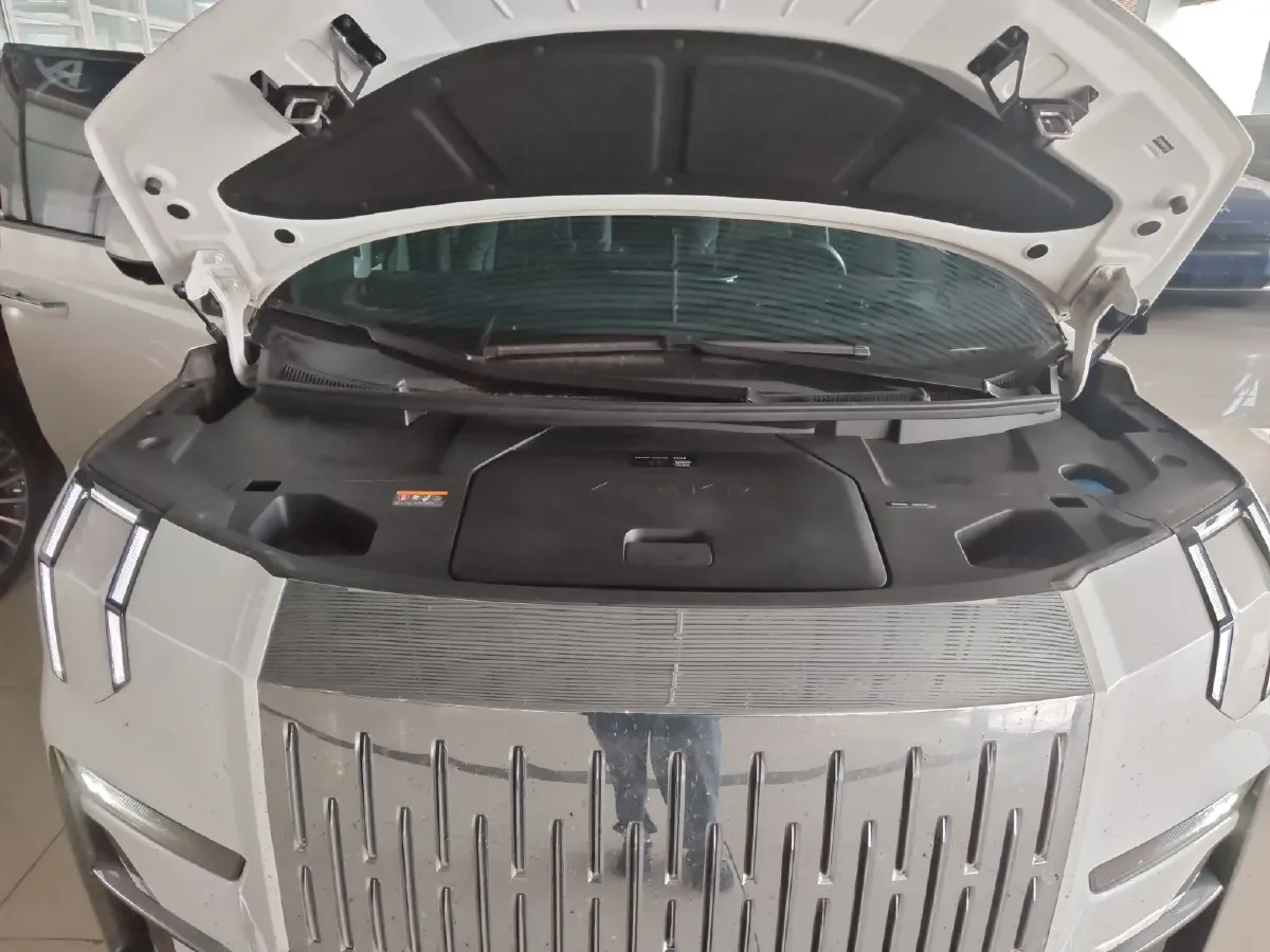 2024 Zeekr 009 BEV 108KWH,autocango,china used car exporter,china ev exporter,chinese used car exporter,chinese used ev exporter