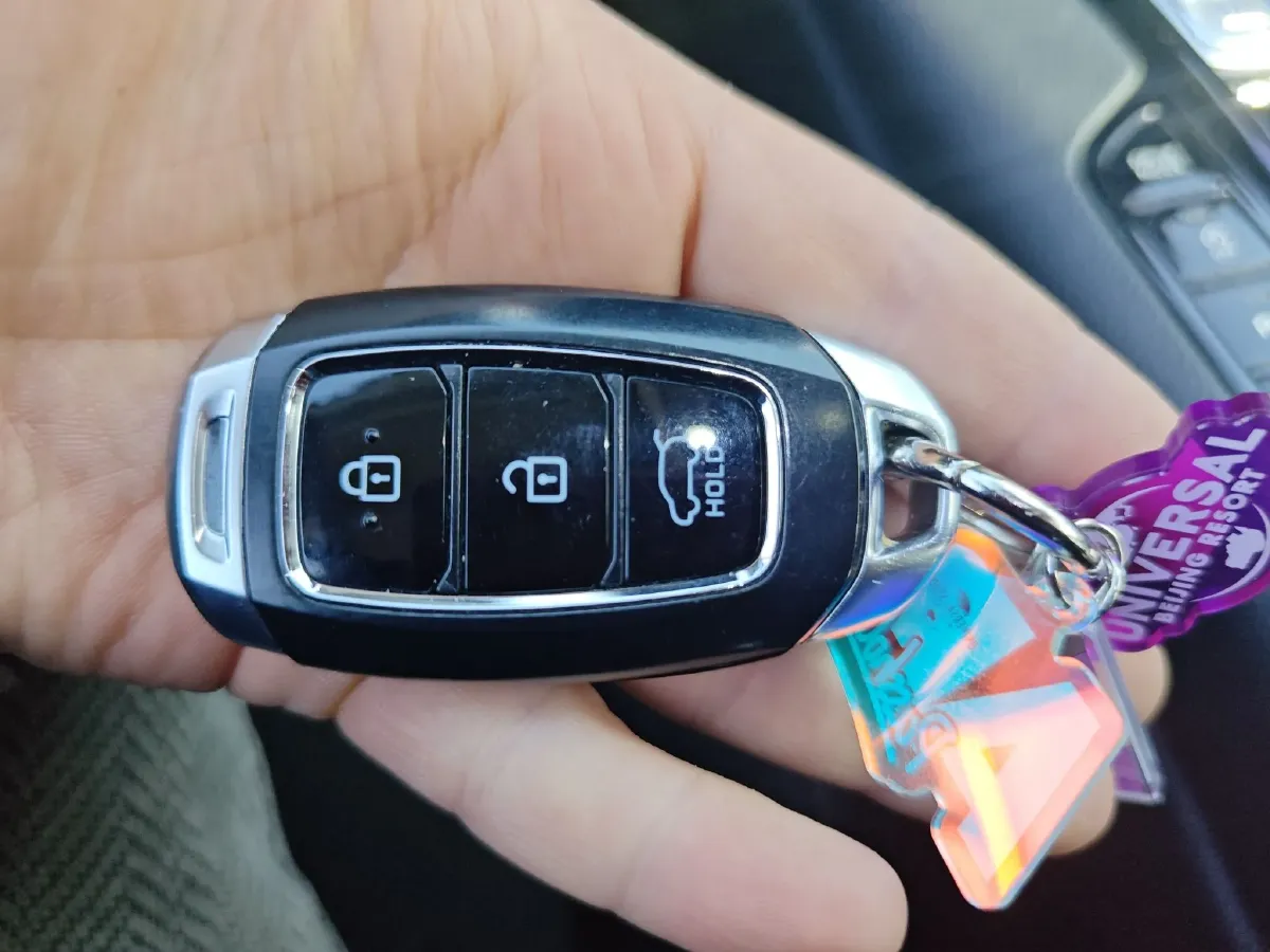 2020 Hyundai Santafe 2.0T 230HP L4 8AT,autocango,china used car exporter,china ev exporter,chinese used car exporter,chinese used ev exporter