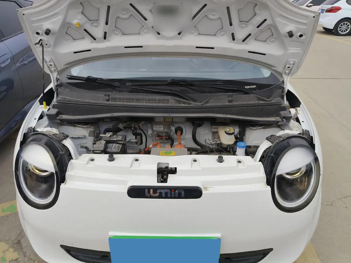 2023 ChangAn QiYuan Lumin BEV 17.65KWH,autocango,china used car exporter,china ev exporter,chinese used car exporter,chinese used ev exporter