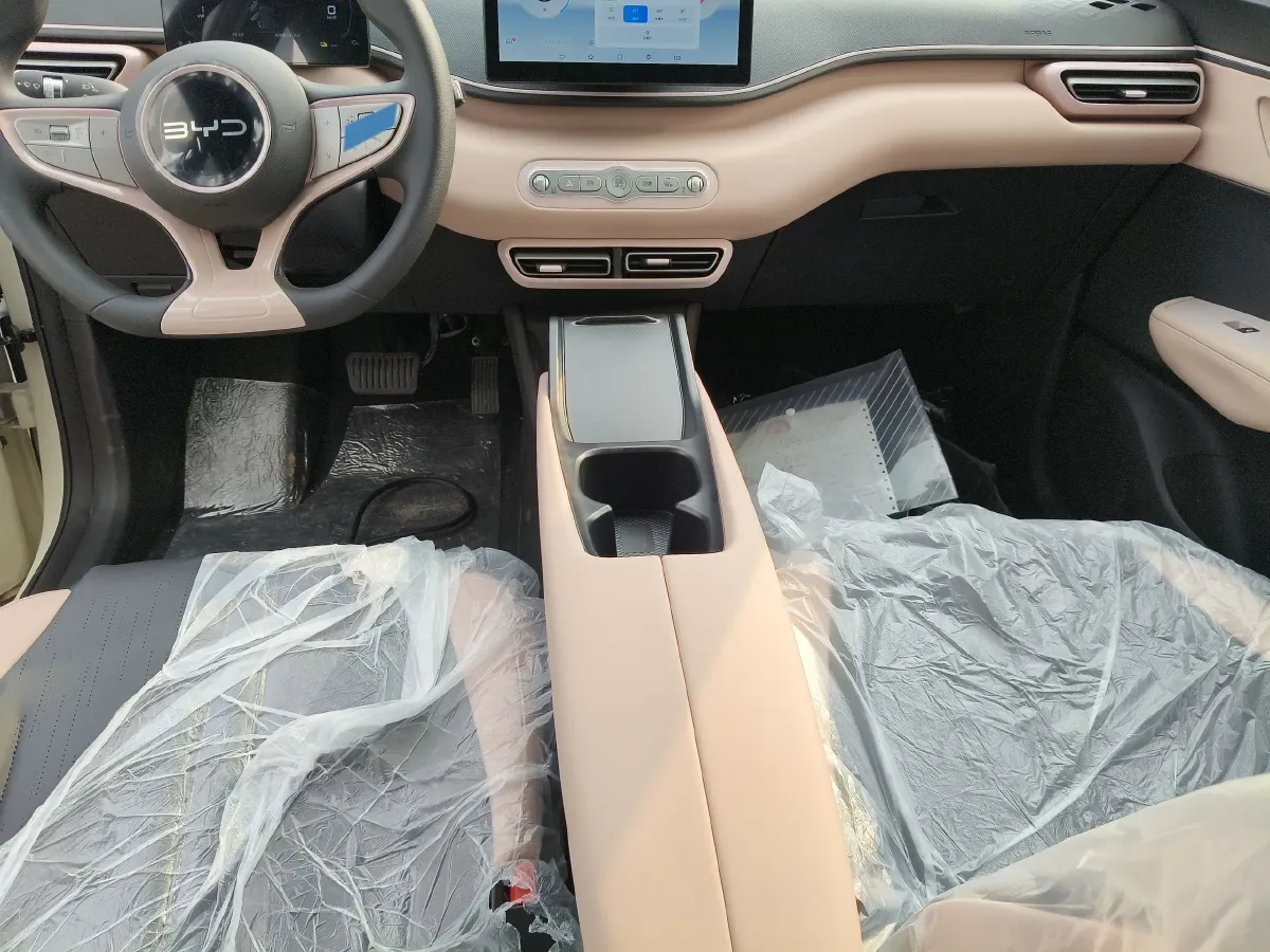 2025 BYD Seagull BEV 30.08KWH,autocango,china used car exporter,china ev exporter,chinese used car exporter,chinese used ev exporter