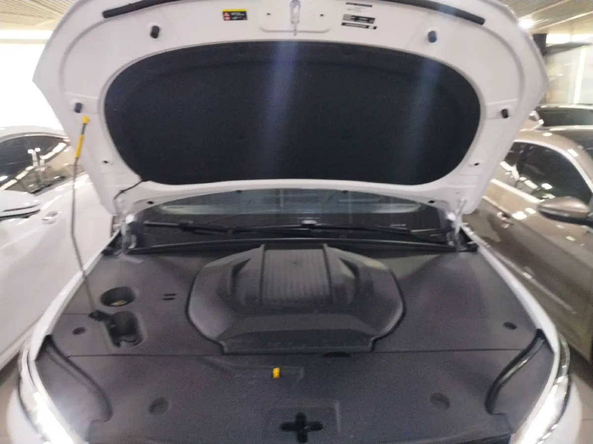 2025 BYD Qin Plus BEV 57.6KWH,autocango,china used car exporter,china ev exporter,chinese used car exporter,chinese used ev exporter