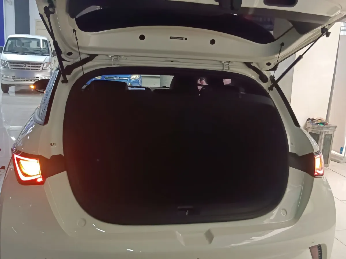 2023 BYD Dolphin BEV 44.928KWH,autocango,china used car exporter,china ev exporter,chinese used car exporter,chinese used ev exporter