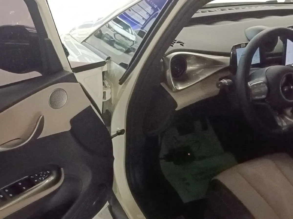 2023 BYD Dolphin BEV 44.928KWH,autocango,china used car exporter,china ev exporter,chinese used car exporter,chinese used ev exporter