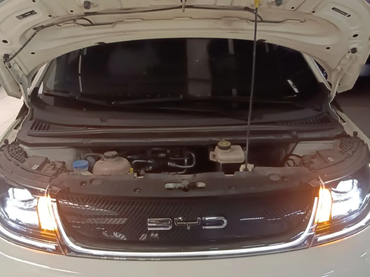 2023 BYD Dolphin BEV 44.928KWH,autocango,china used car exporter,china ev exporter,chinese used car exporter,chinese used ev exporter