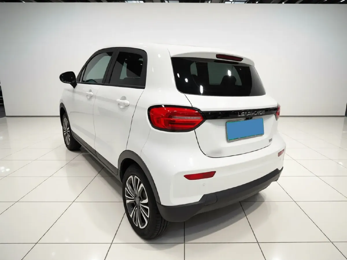 2021 Leapmotor T03 BEV 41KWH,autocango,china used car exporter,china ev exporter,chinese used car exporter,chinese used ev exporter