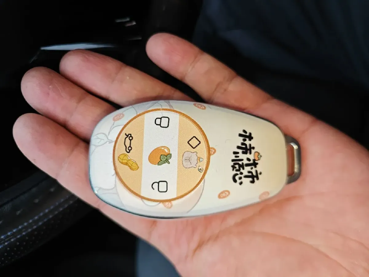 2021 Leapmotor T03 BEV 41KWH,autocango,china used car exporter,china ev exporter,chinese used car exporter,chinese used ev exporter