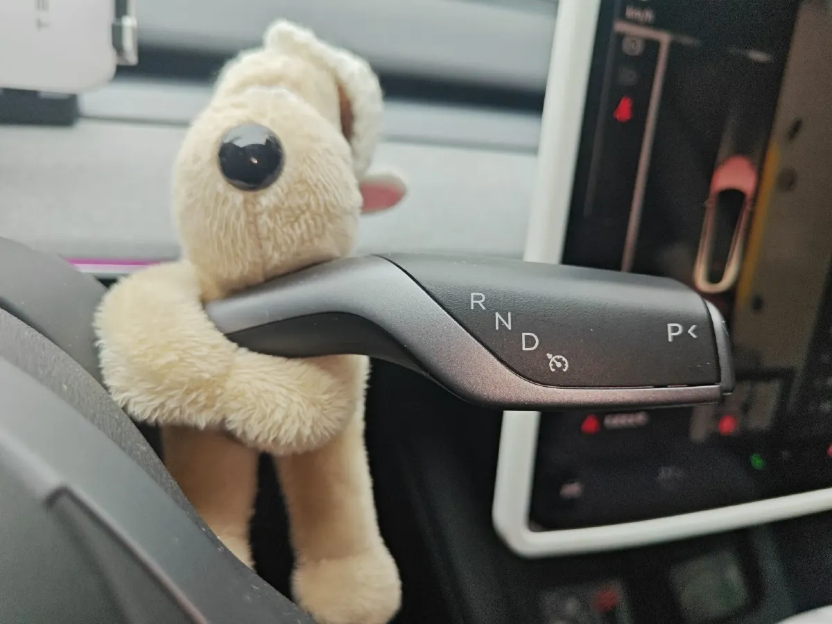 2023 Tesla Model Y BEV 60KWH,autocango,china used car exporter,china ev exporter,chinese used car exporter,chinese used ev exporter