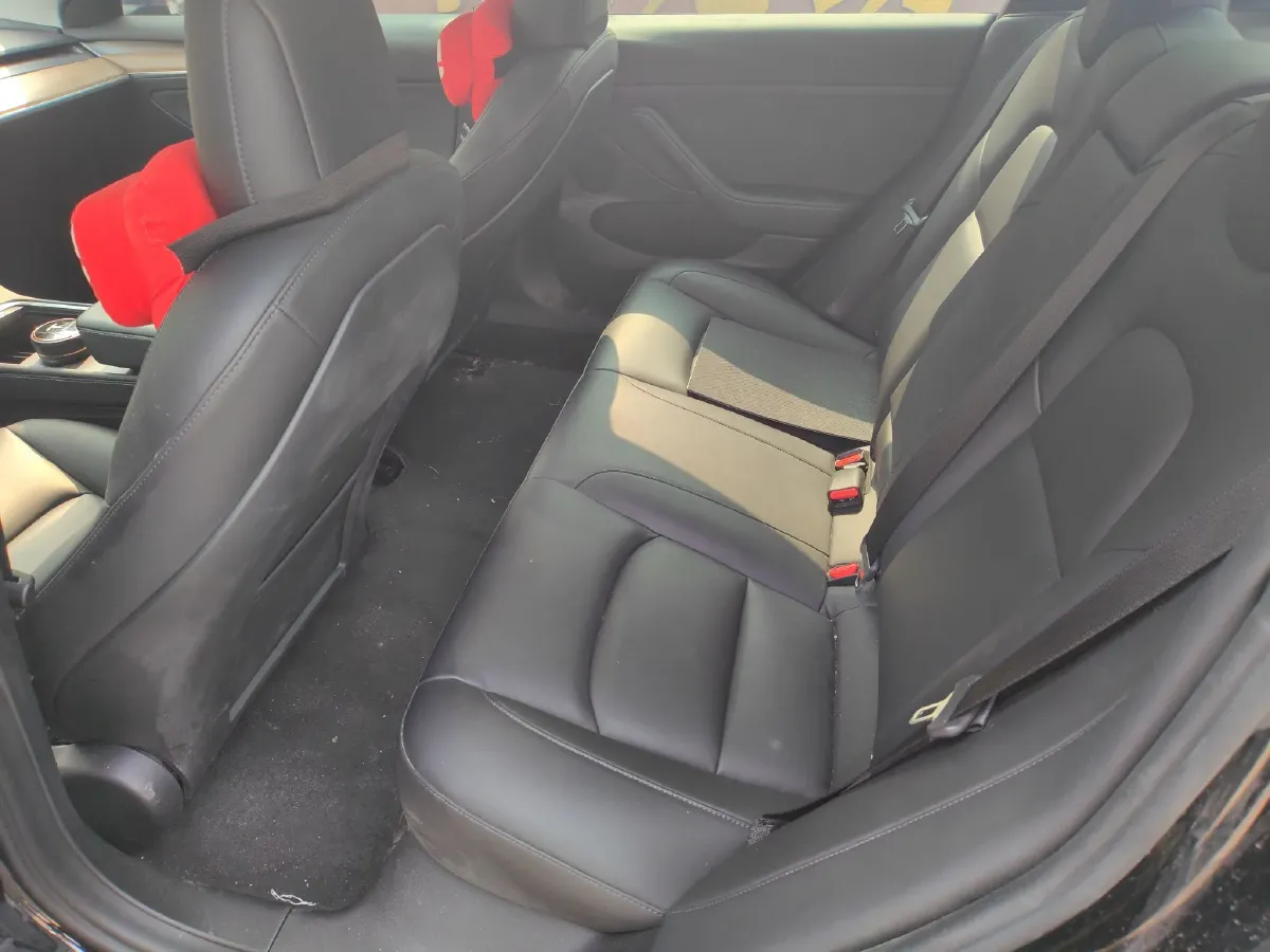 2021 Tesla Model 3 BEV 55KWH,autocango,china used car exporter,china ev exporter,chinese used car exporter,chinese used ev exporter