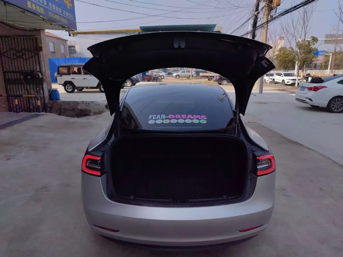 2021 Tesla Model 3 BEV 55KWH,autocango,china used car exporter,china ev exporter,chinese used car exporter,chinese used ev exporter