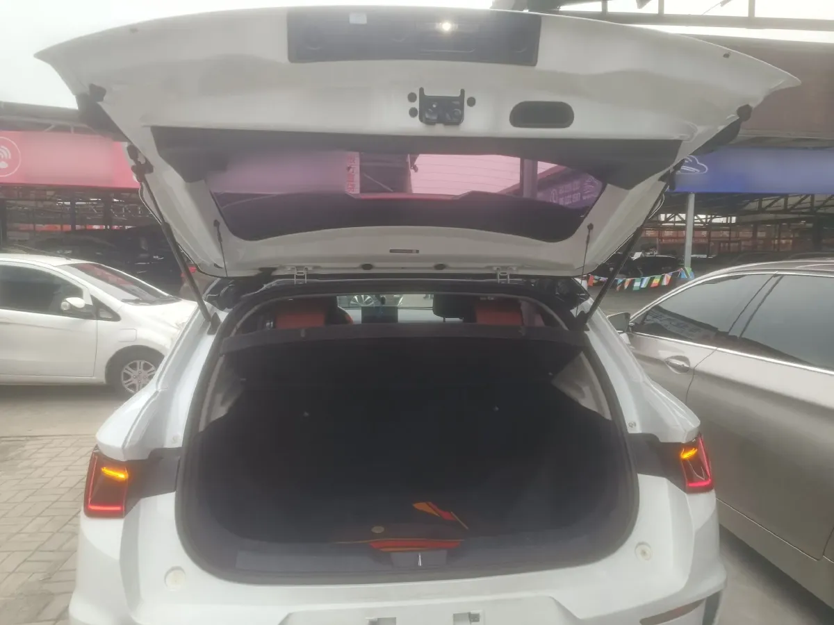 2020 BYD e2 BEV 47.3KWH,autocango,china used car exporter,china ev exporter,chinese used car exporter,chinese used ev exporter