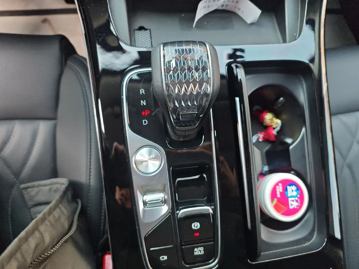 2024 GAC Trumpchi M8 2.0T 252HP L4 8AT,autocango,china used car exporter,china ev exporter,chinese used car exporter,chinese used ev exporter