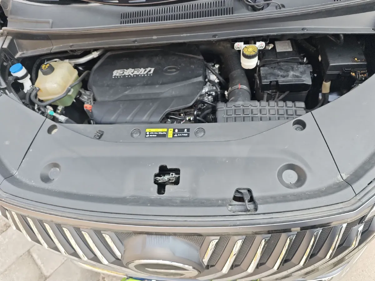 2024 GAC Trumpchi M8 2.0T 252HP L4 8AT,autocango,china used car exporter,china ev exporter,chinese used car exporter,chinese used ev exporter