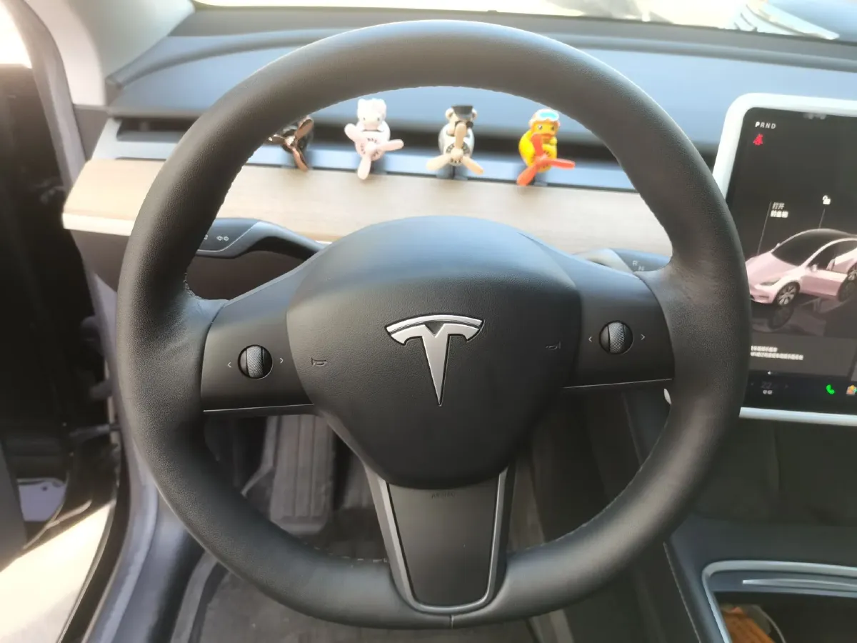 2022 Tesla Model Y BEV 60KWH,autocango,china used car exporter,china ev exporter,chinese used car exporter,chinese used ev exporter