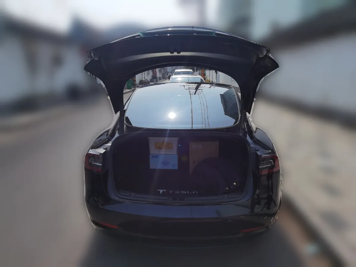 2022 Tesla Model 3 BEV 60KWH,autocango,china used car exporter,china ev exporter,chinese used car exporter,chinese used ev exporter