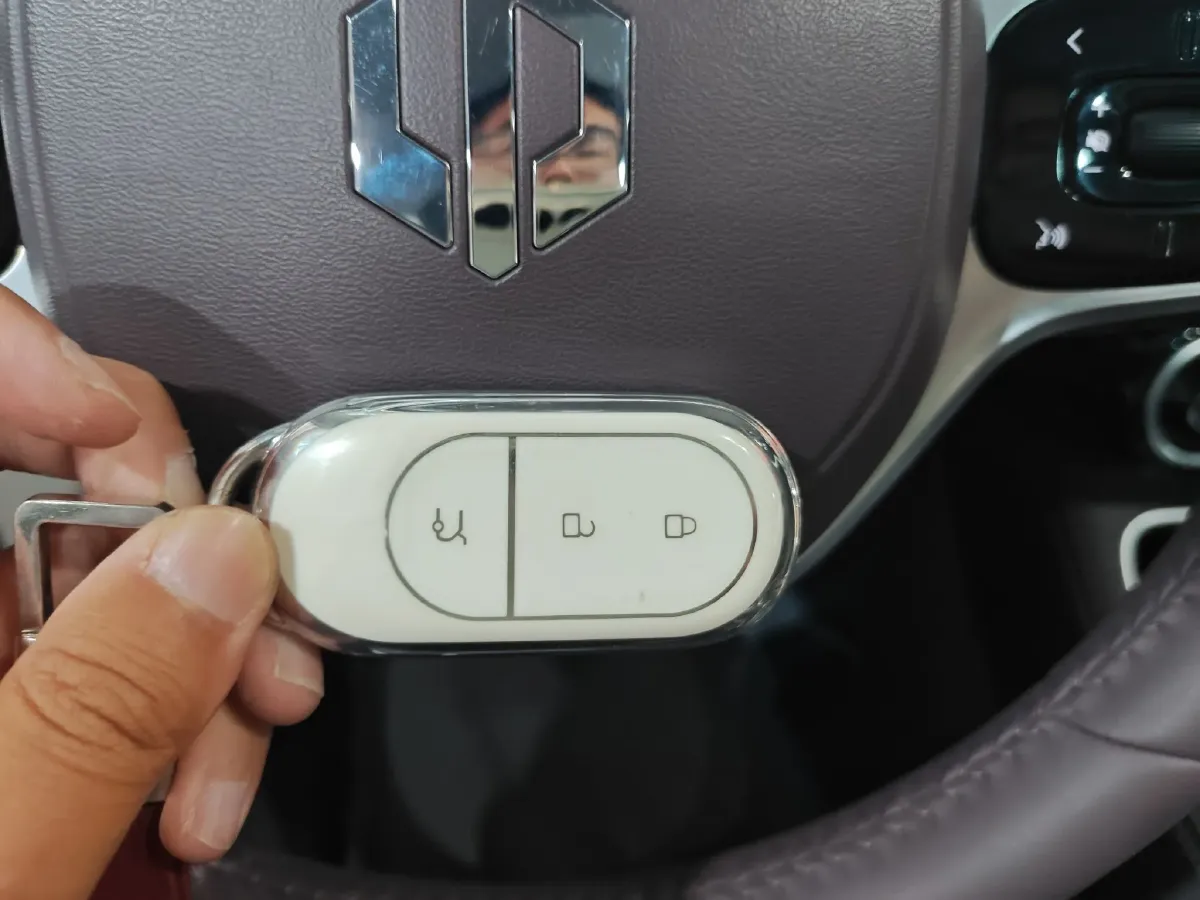 2023 Leapmotor C11 BEV 69.2KWH,autocango,china used car exporter,china ev exporter,chinese used car exporter,chinese used ev exporter