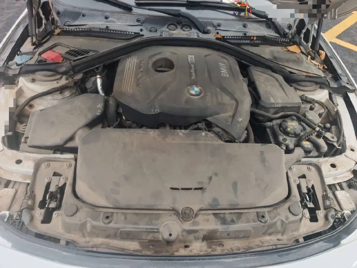 2019 BMW 3 Series 2.0T 184HP L4 8AT,autocango,china used car exporter,china ev exporter,chinese used car exporter,chinese used ev exporter