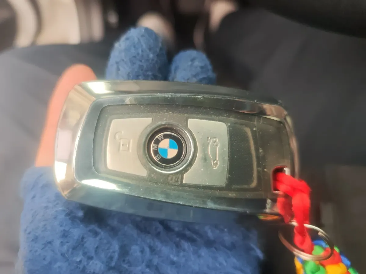 2019 BMW 3 Series 2.0T 184HP L4 8AT,autocango,china used car exporter,china ev exporter,chinese used car exporter,chinese used ev exporter