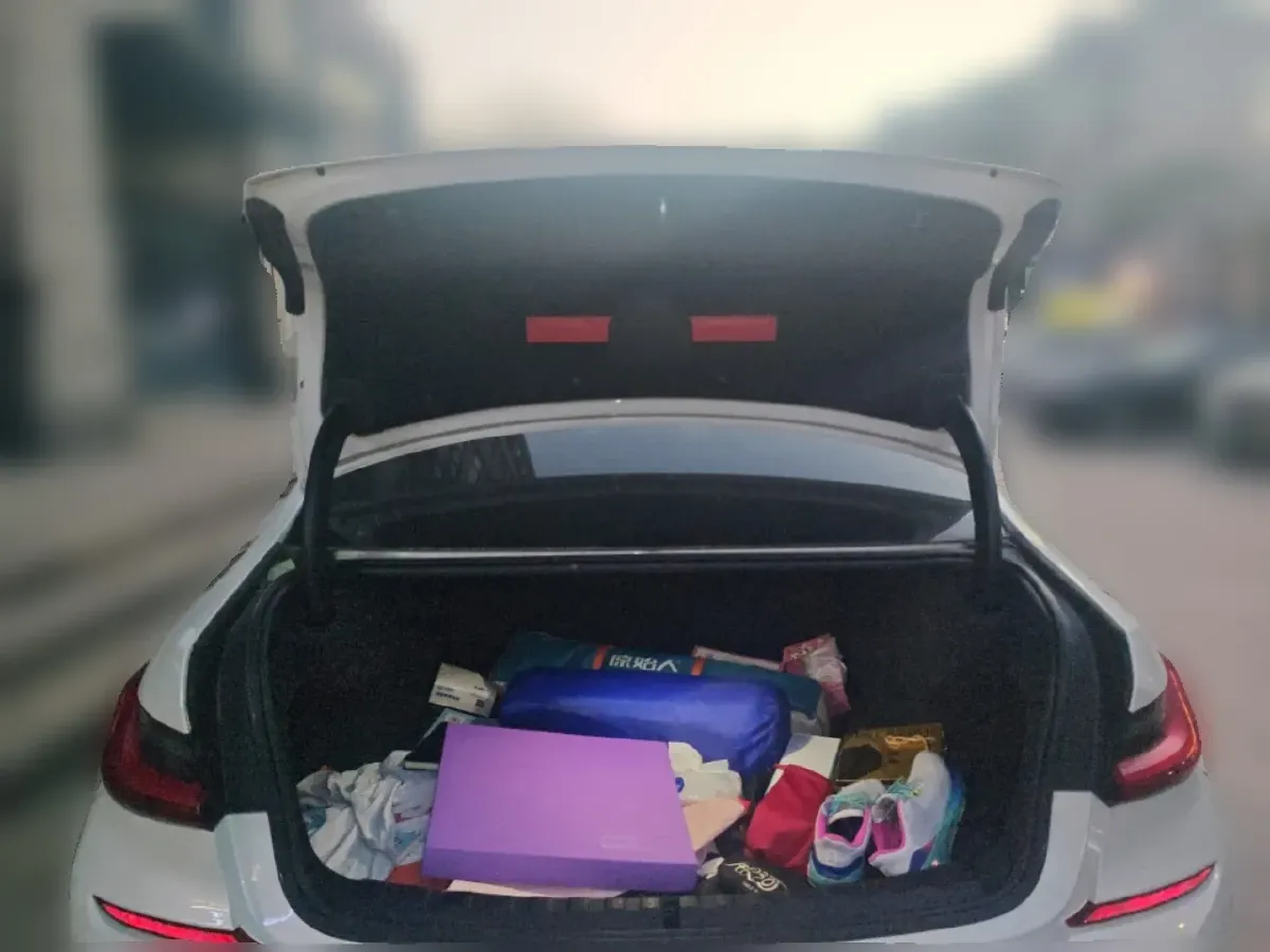 2020 BMW 3 Series 2.0T 184HP L4 8AT,autocango,china used car exporter,china ev exporter,chinese used car exporter,chinese used ev exporter