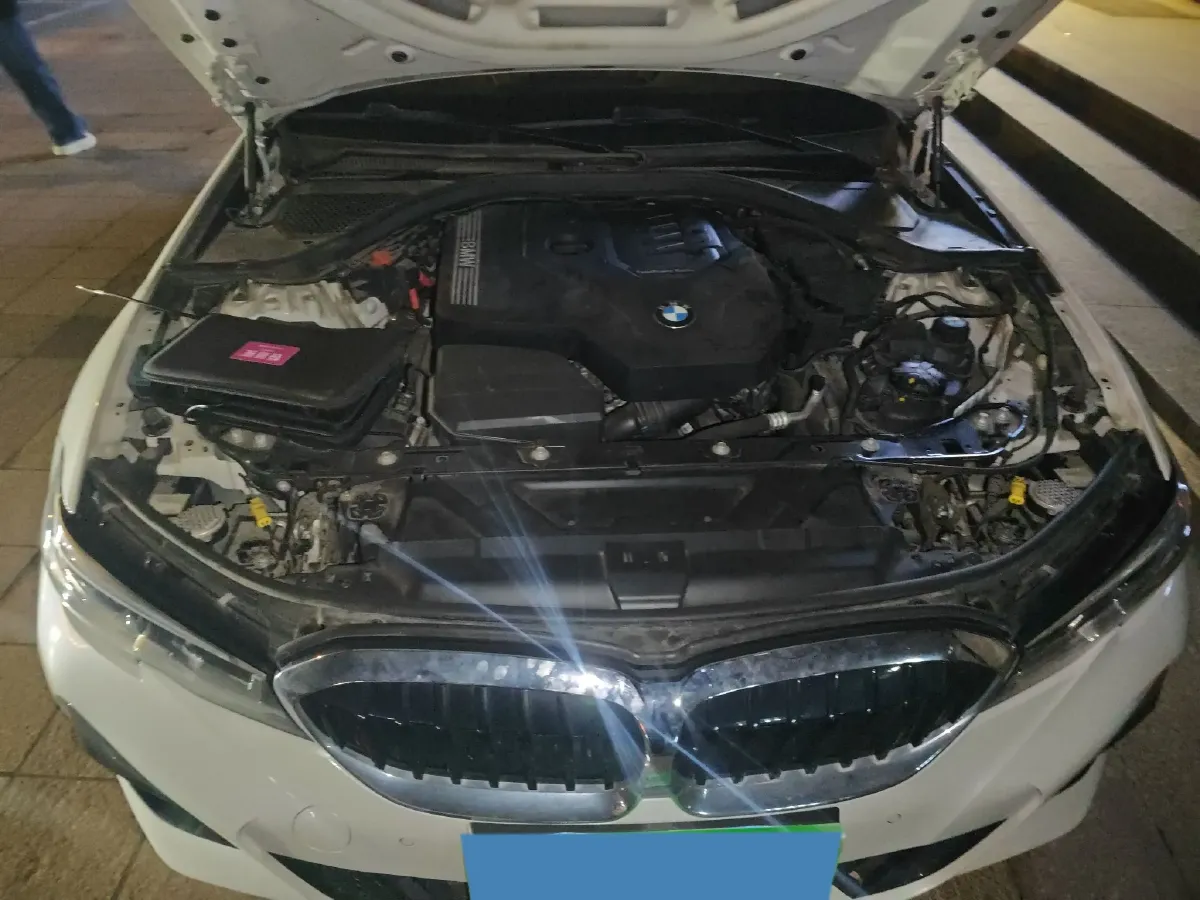 2020 BMW 3 Series 2.0T 184HP L4 8AT,autocango,china used car exporter,china ev exporter,chinese used car exporter,chinese used ev exporter