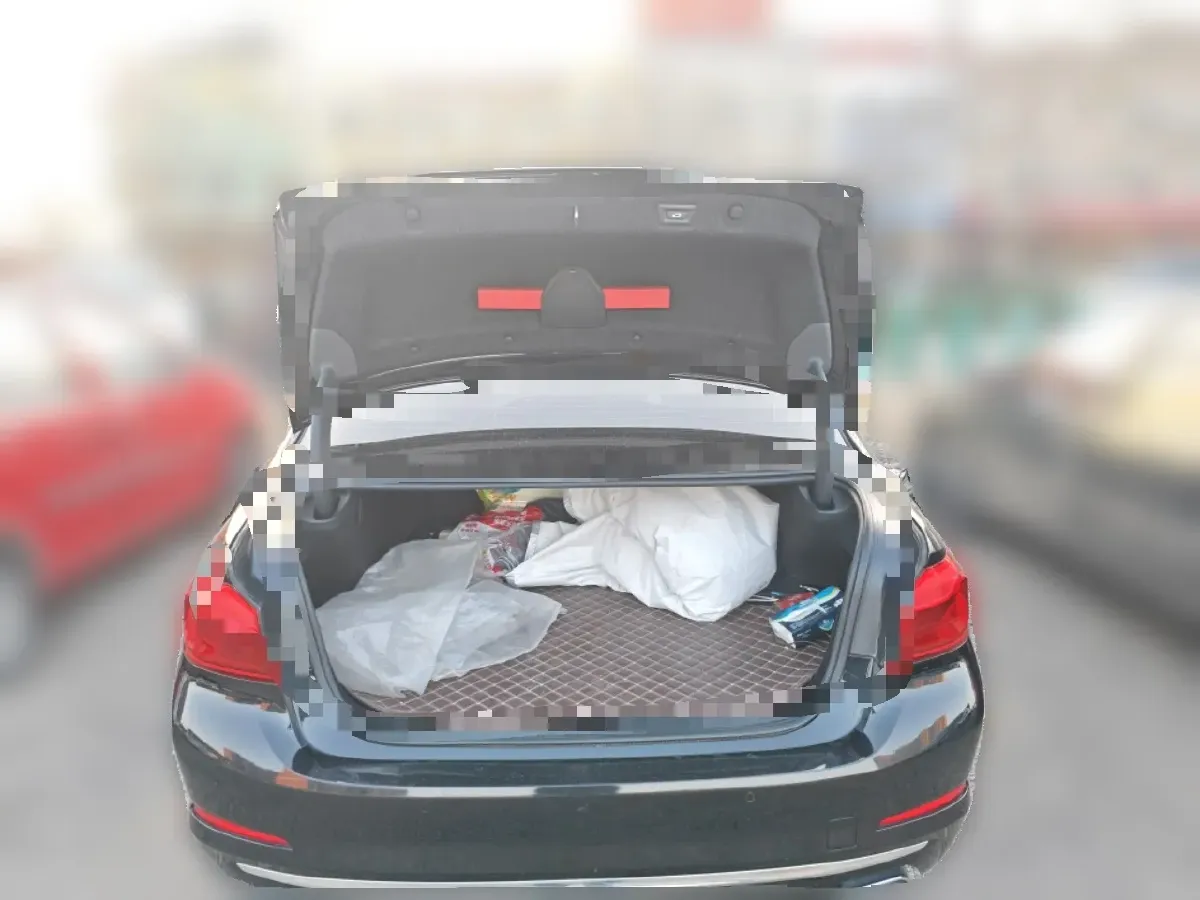 2020 BMW 5 Series 2.0T 184HP L4 8AT PHEV 17.7KWH,autocango,china used car exporter,china ev exporter,chinese used car exporter,chinese used ev exporter