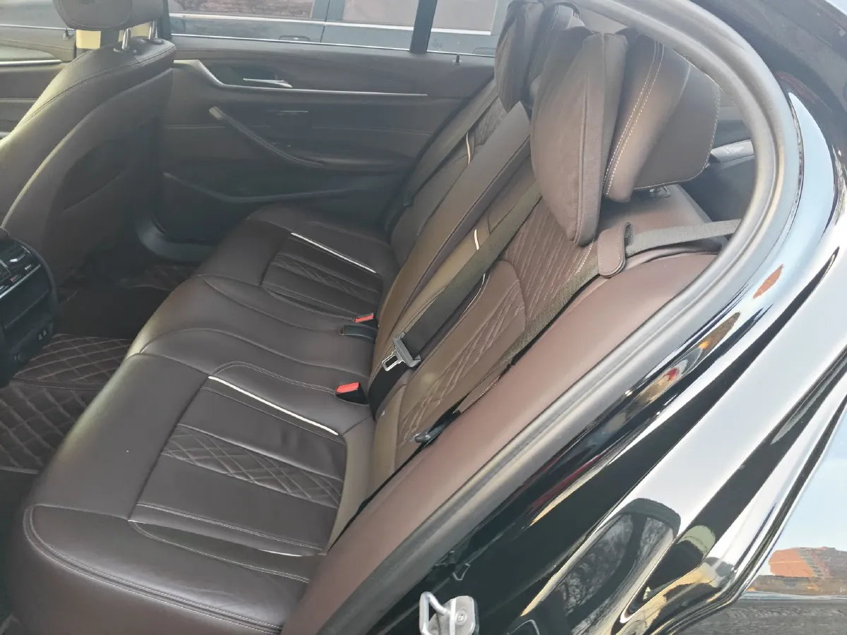 2020 BMW 5 Series 2.0T 184HP L4 8AT PHEV 17.7KWH,autocango,china used car exporter,china ev exporter,chinese used car exporter,chinese used ev exporter