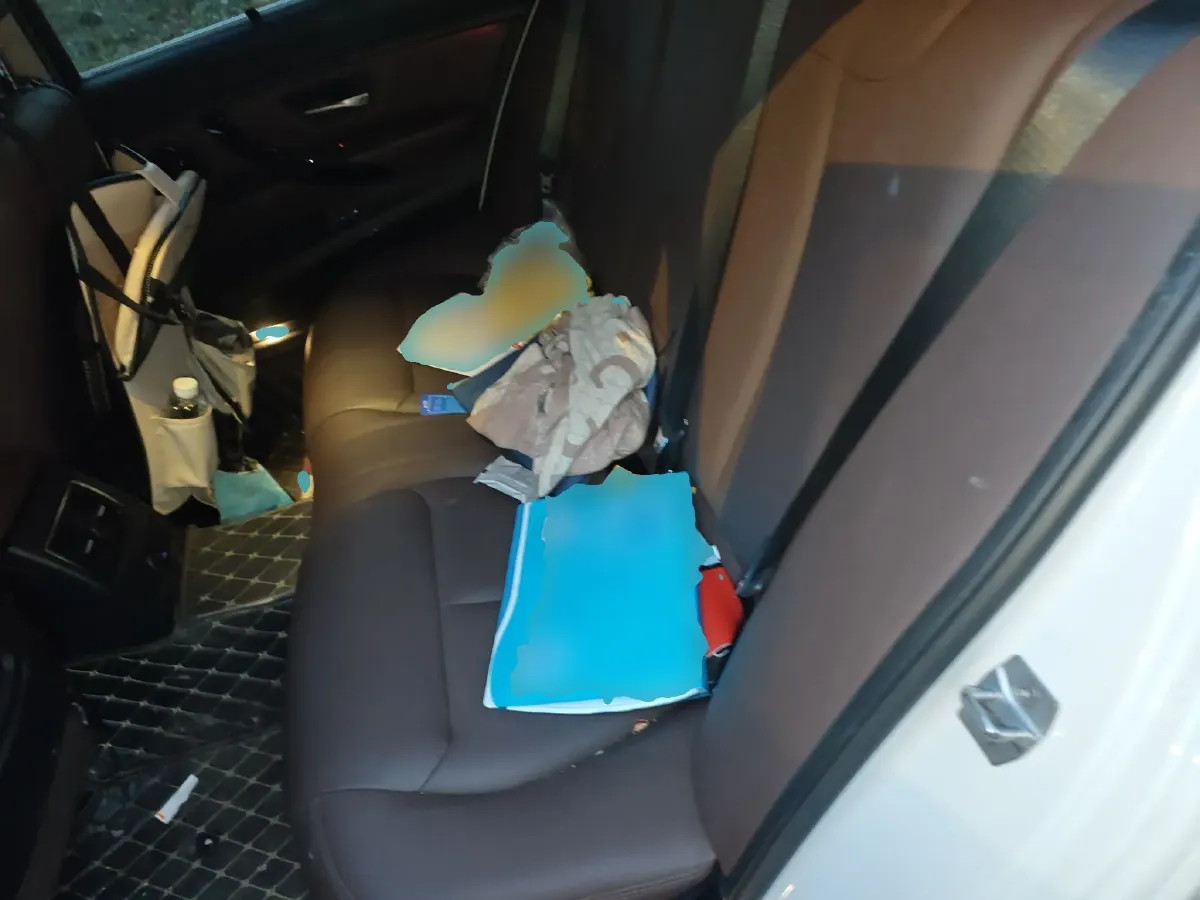 2018 BMW 3 Series 2.0T 184HP L4 8AT,autocango,china used car exporter,china ev exporter,chinese used car exporter,chinese used ev exporter