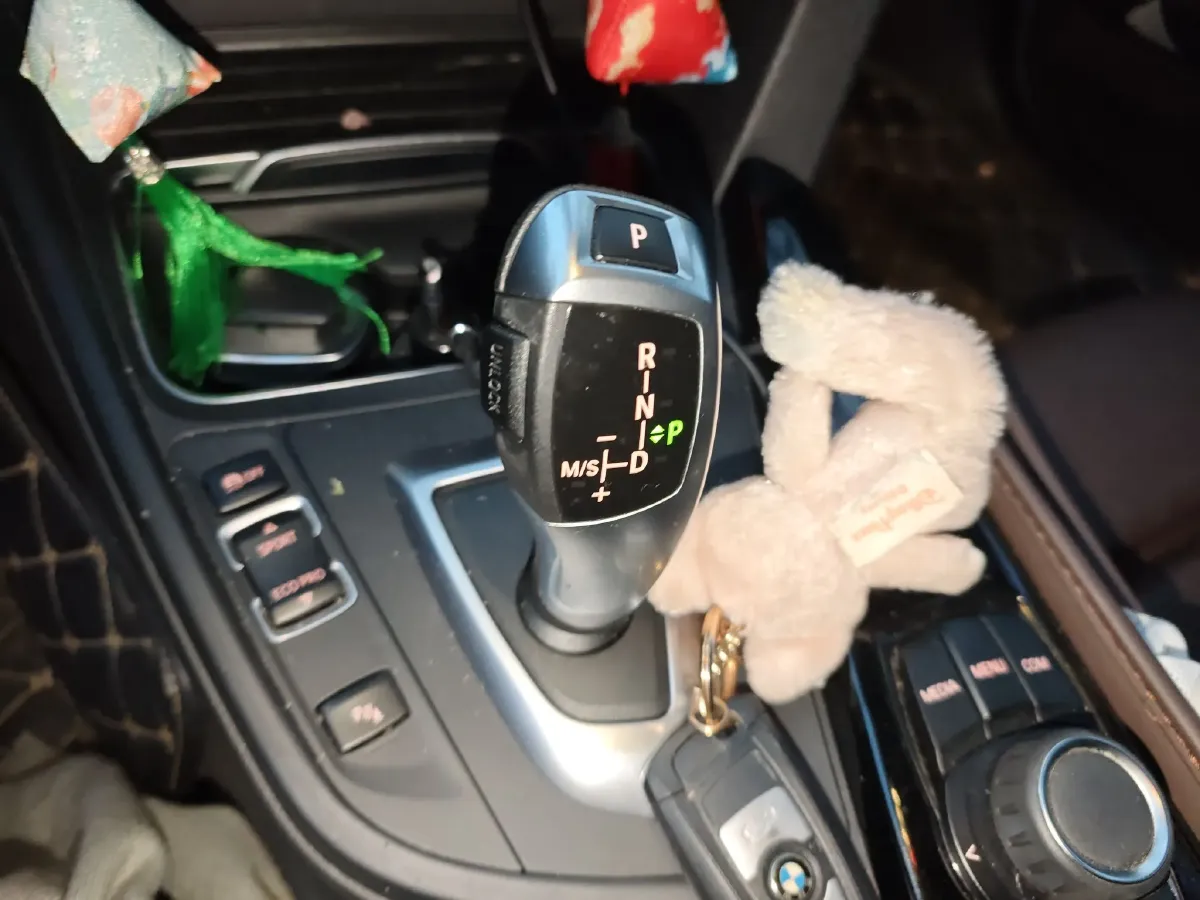 2018 BMW 3 Series 2.0T 184HP L4 8AT,autocango,china used car exporter,china ev exporter,chinese used car exporter,chinese used ev exporter