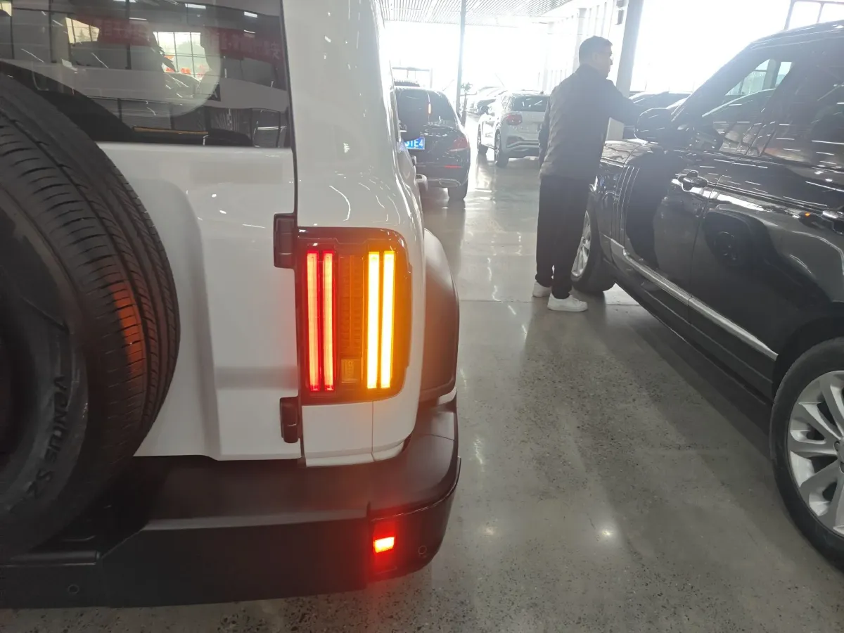 2024 Tank 300 2.0T 227HP L4 8AT,autocango,china used car exporter,china ev exporter,chinese used car exporter,chinese used ev exporter
