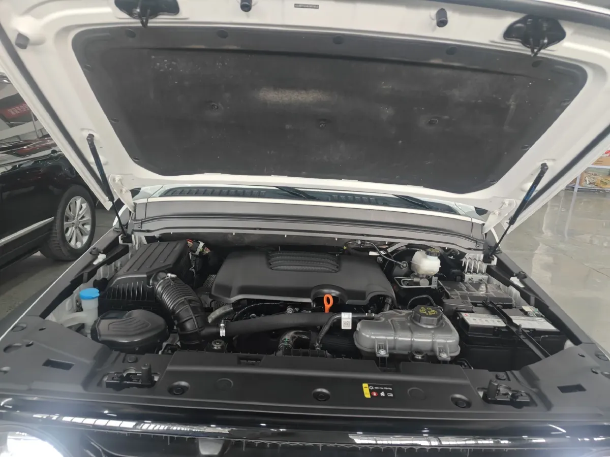 2024 Tank 300 2.0T 227HP L4 8AT,autocango,china used car exporter,china ev exporter,chinese used car exporter,chinese used ev exporter