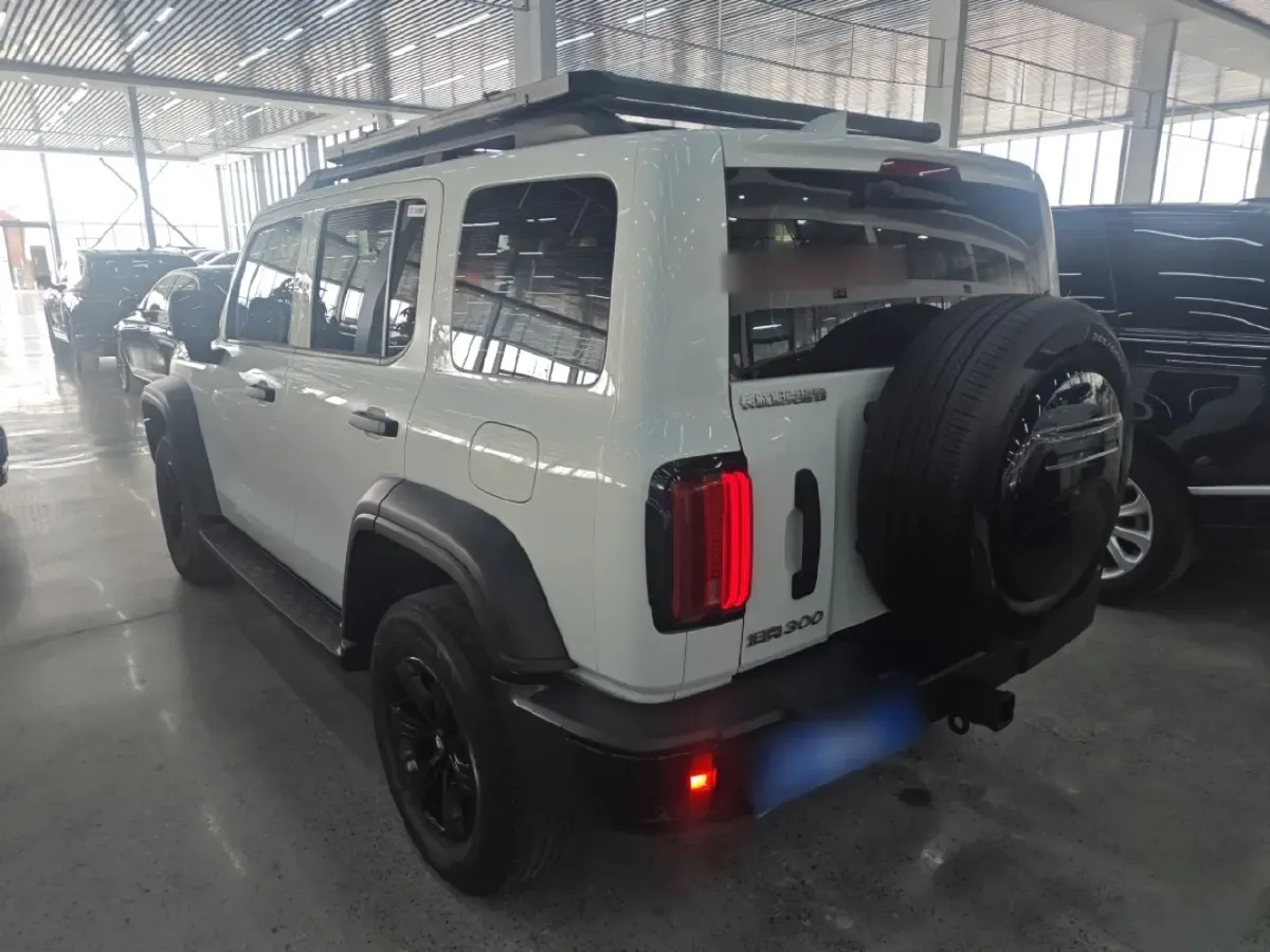 2024 Tank 300 2.0T 227HP L4 8AT,autocango,china used car exporter,china ev exporter,chinese used car exporter,chinese used ev exporter