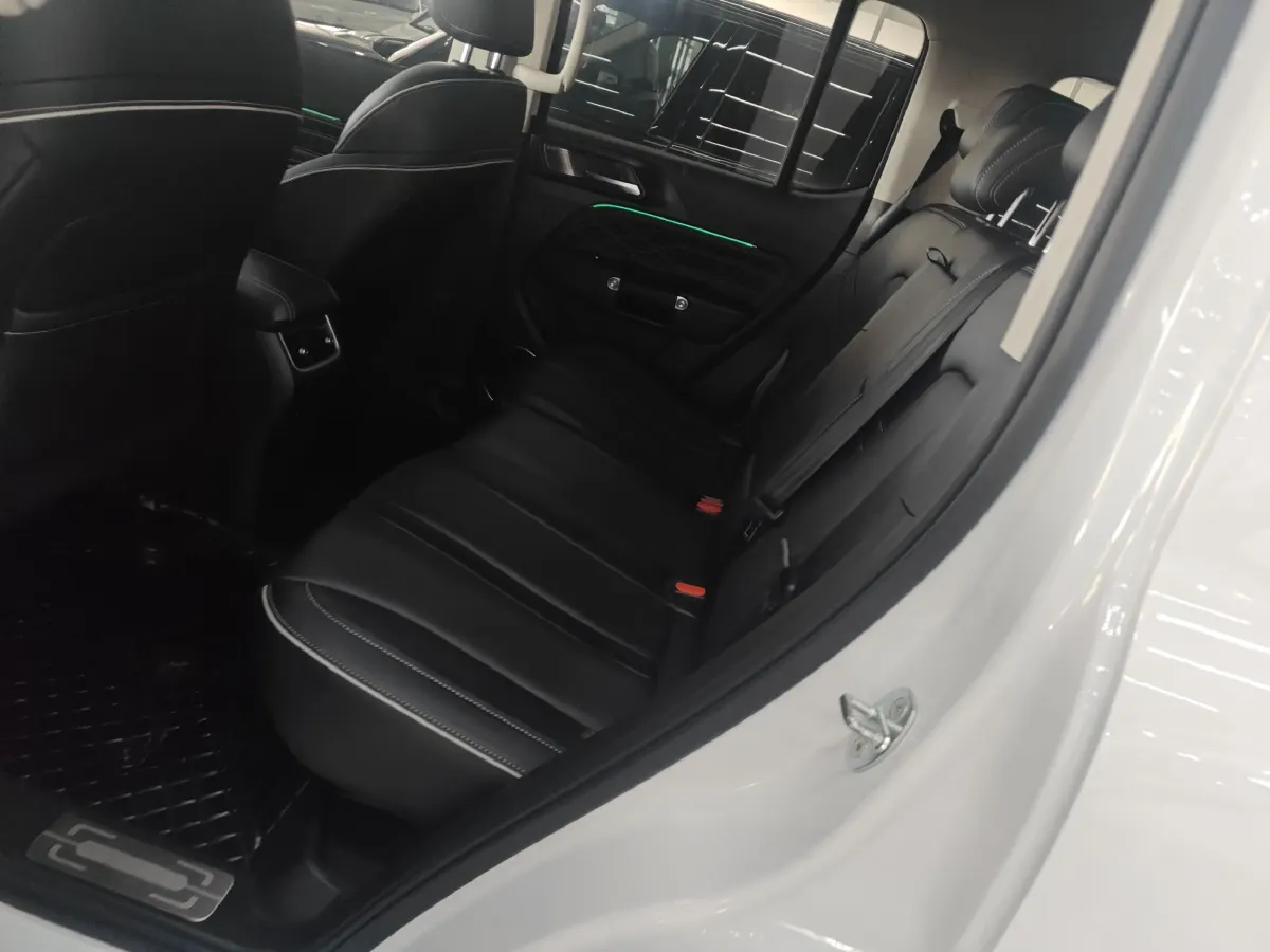 2024 Tank 300 2.0T 227HP L4 8AT,autocango,china used car exporter,china ev exporter,chinese used car exporter,chinese used ev exporter