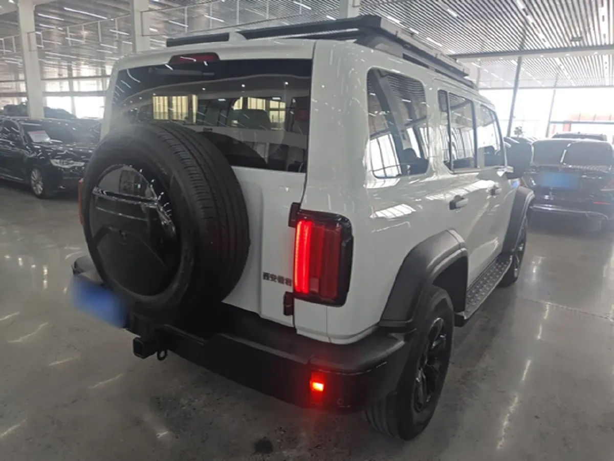 2024 Tank 300 2.0T 227HP L4 8AT,autocango,china used car exporter,china ev exporter,chinese used car exporter,chinese used ev exporter