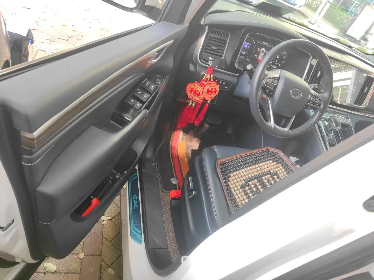 2021 GAC Trumpchi M8 2.0T 252HP L4 8AT,autocango,china used car exporter,china ev exporter,chinese used car exporter,chinese used ev exporter