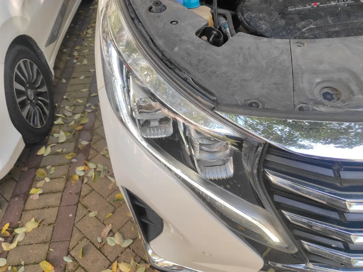 2021 GAC Trumpchi M8 2.0T 252HP L4 8AT,autocango,china used car exporter,china ev exporter,chinese used car exporter,chinese used ev exporter