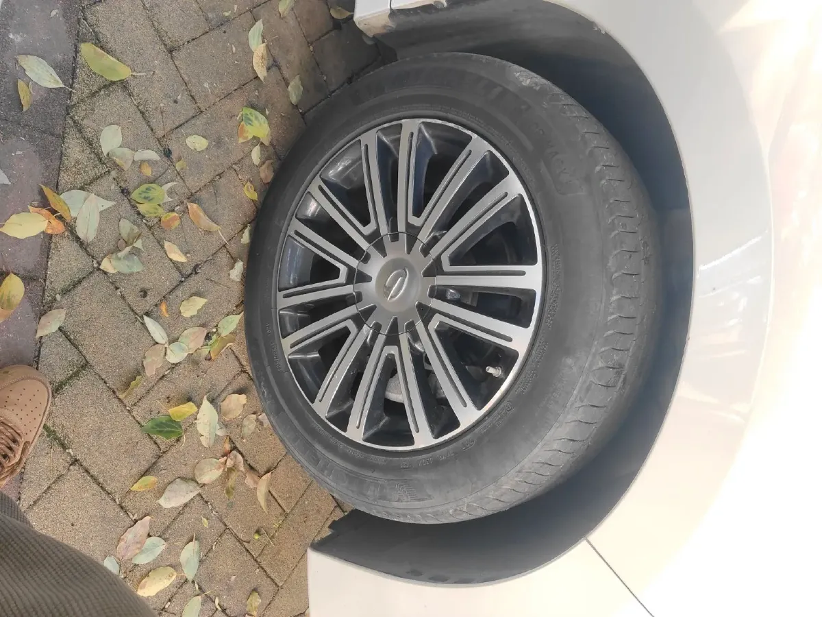 2021 GAC Trumpchi M8 2.0T 252HP L4 8AT,autocango,china used car exporter,china ev exporter,chinese used car exporter,chinese used ev exporter