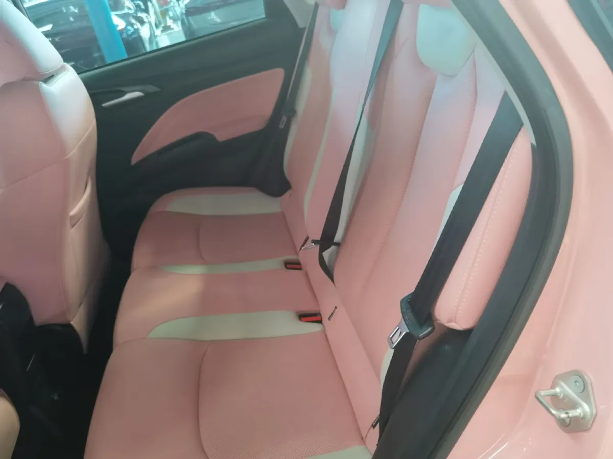 2021 Neta V BEV 38.54KWH,autocango,china used car exporter,china ev exporter,chinese used car exporter,chinese used ev exporter